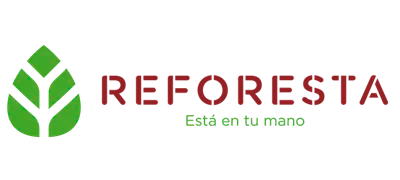 Reforesta desde el 10 de diciembre de 2024